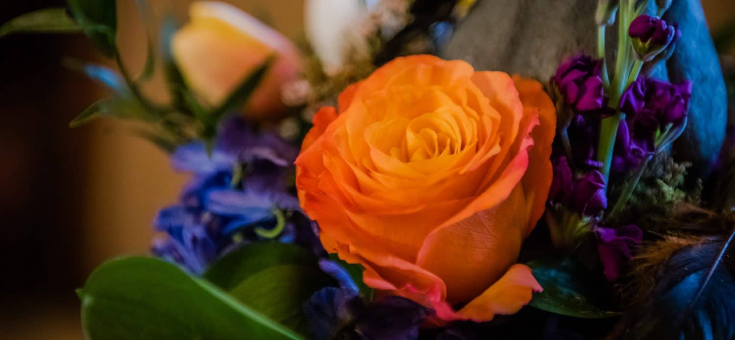 The Floral Displays Lyndhurst Mansion