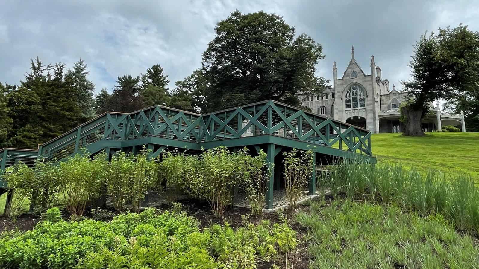Overlook in Early Summer