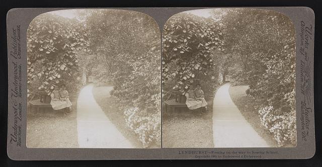 Shrub Tunnel leading to Treehouse