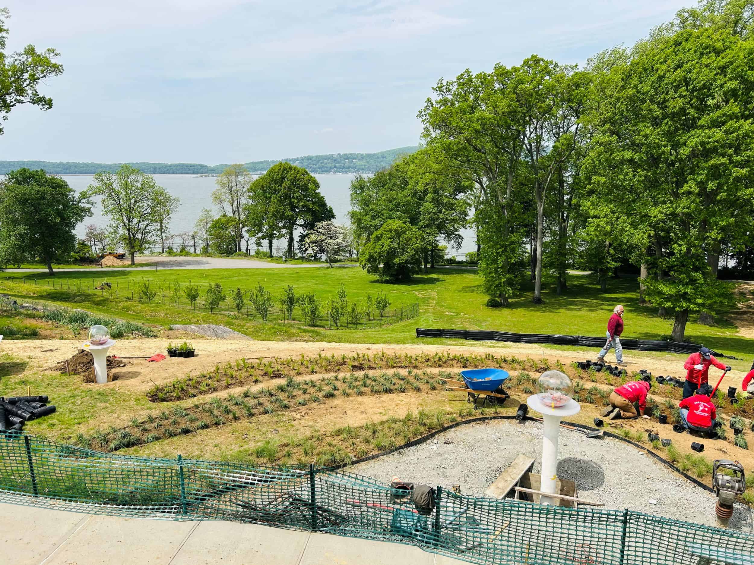 Overlook plantings being installed